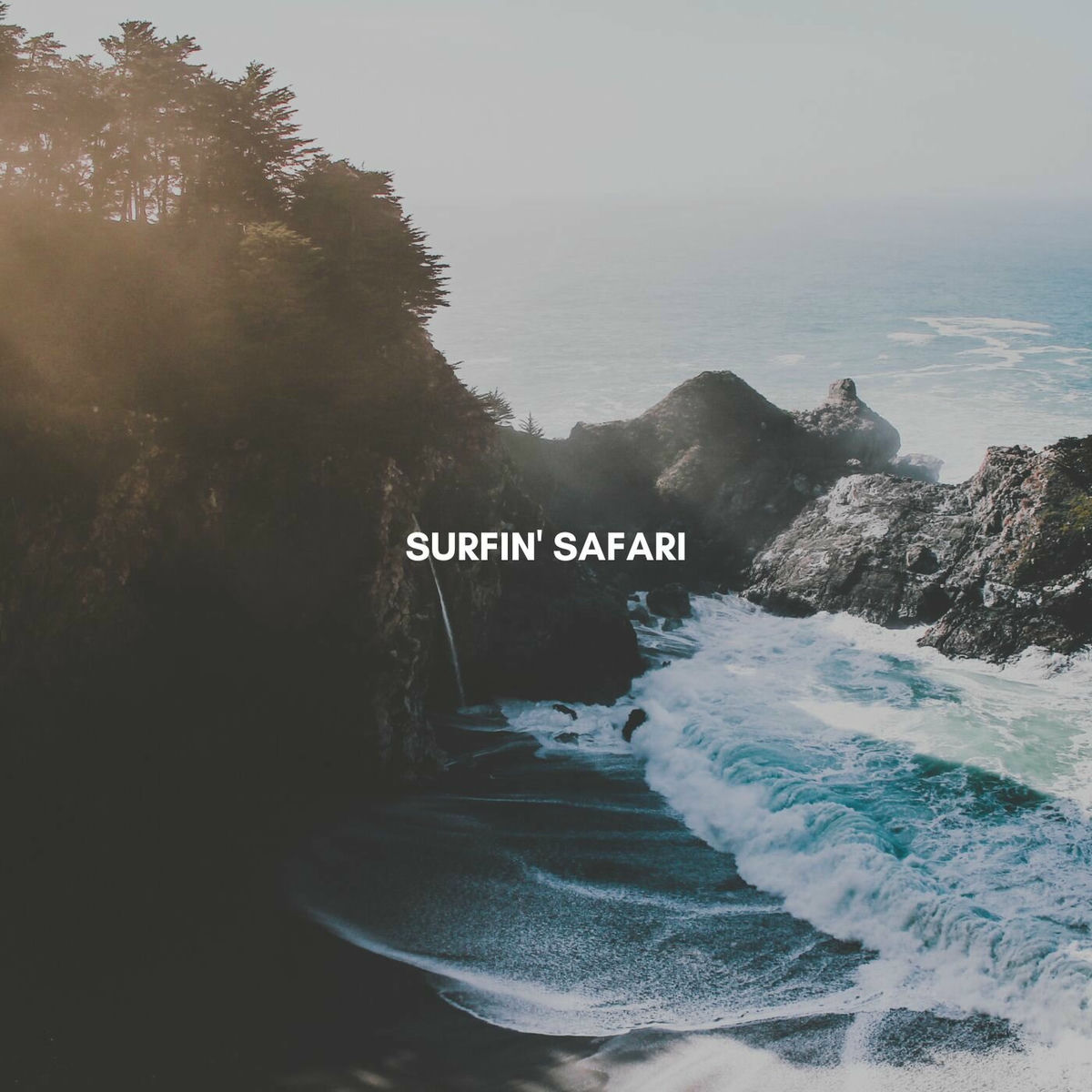 Album cover of Surfing Safari