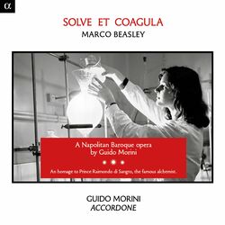 Cover of Morini: Solve et coagula
