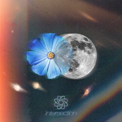 Cover of Full Moon