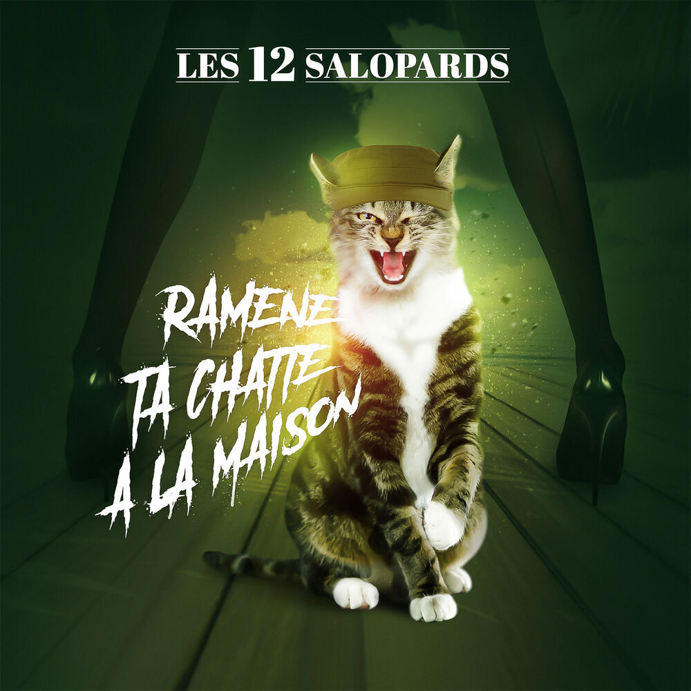 Picture of Ramene ta chatte a la maison