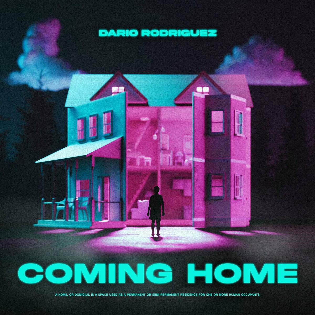 Album cover of Coming Home