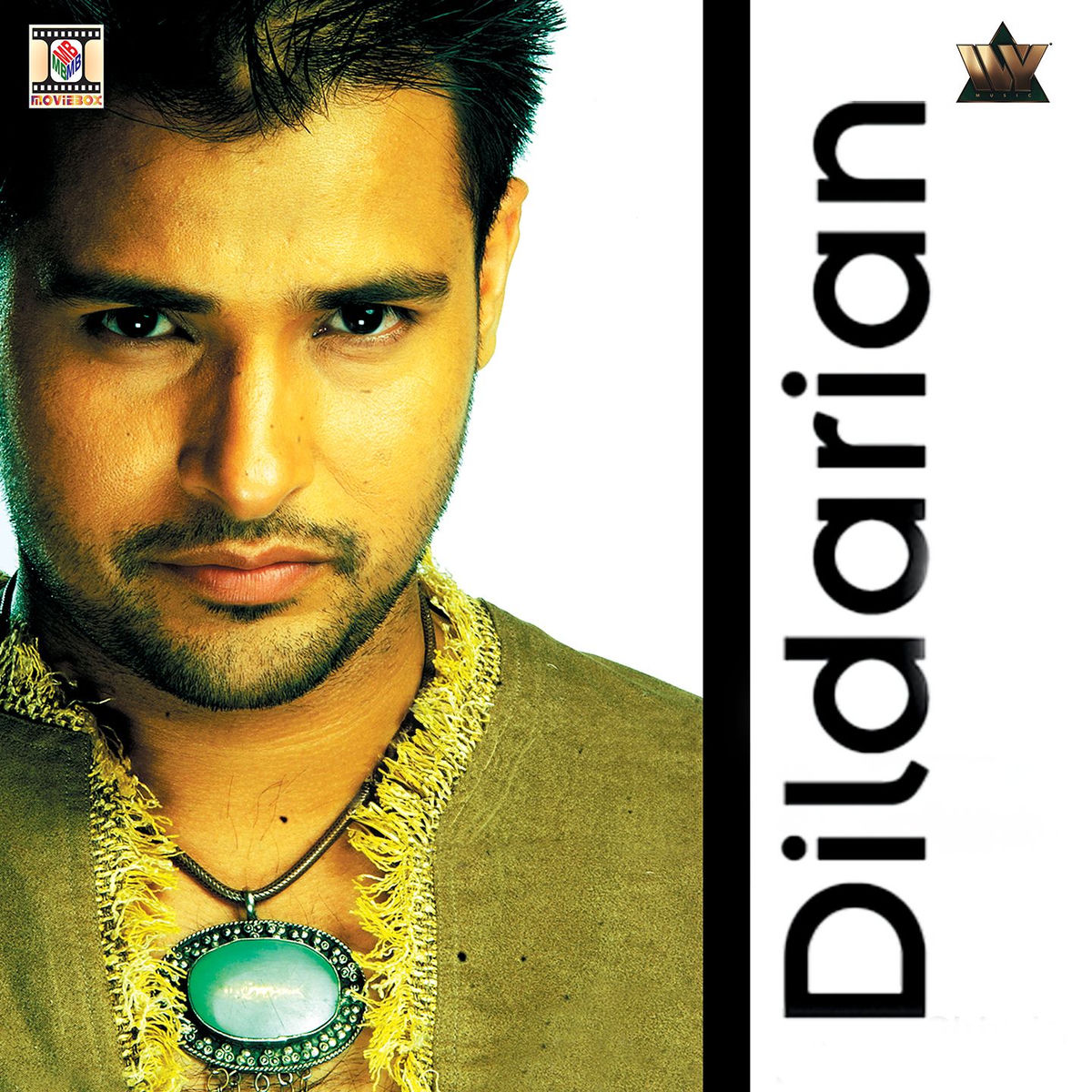 Album cover of Dildarian