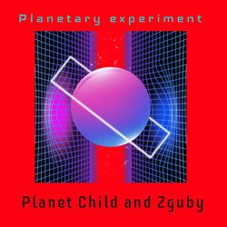 Cover of Planetary Experiment