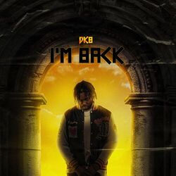 Cover of I'm Back