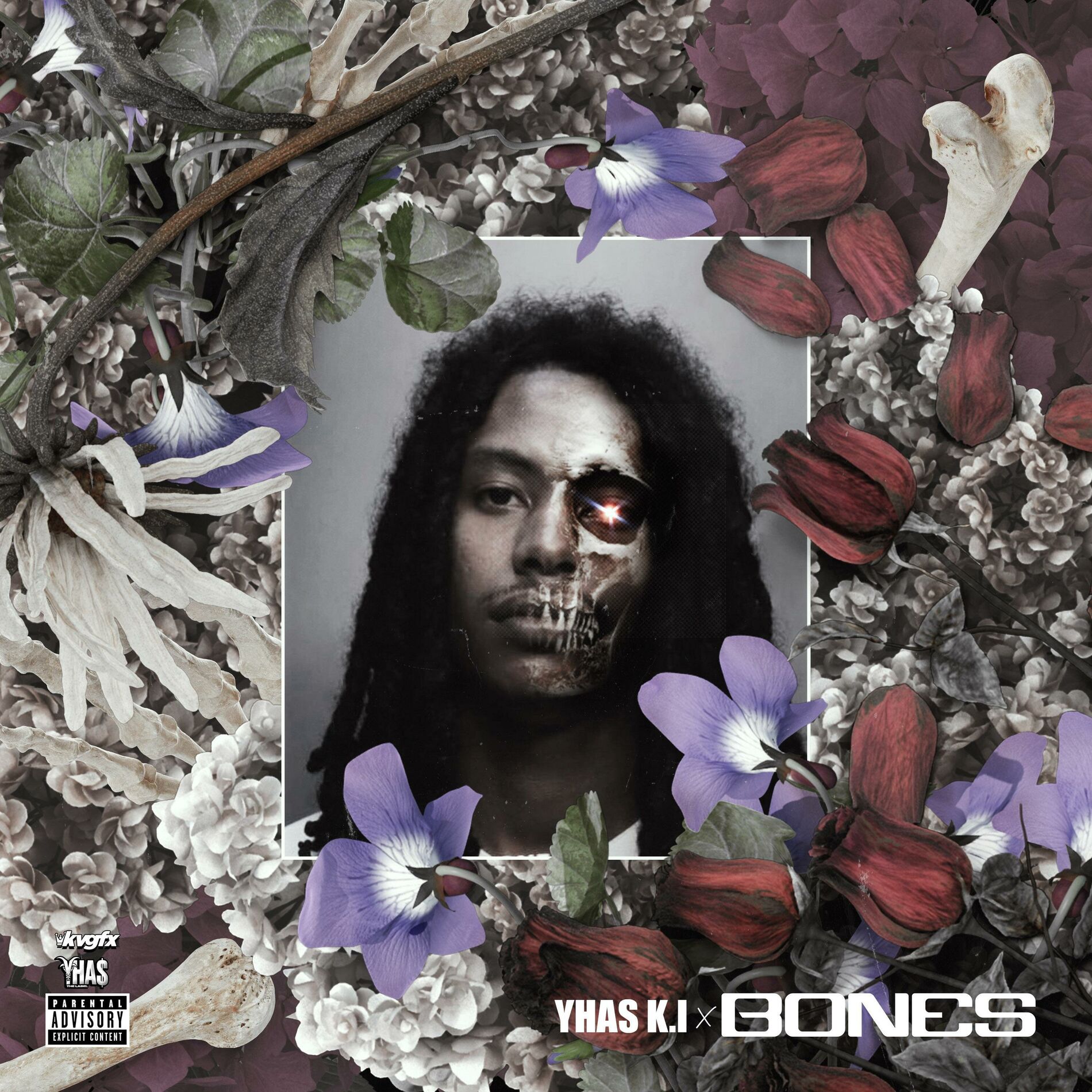 Album cover of BONES