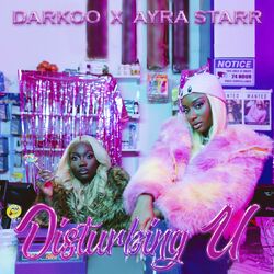 Cover of Disturbing U