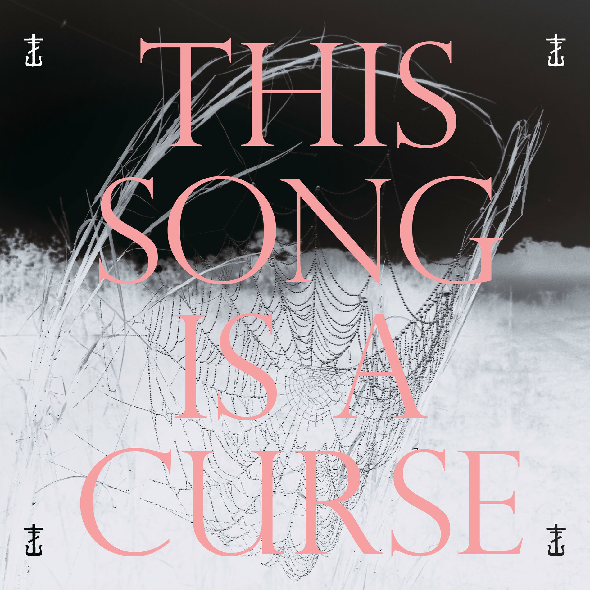Album cover of This Song Is A Curse...