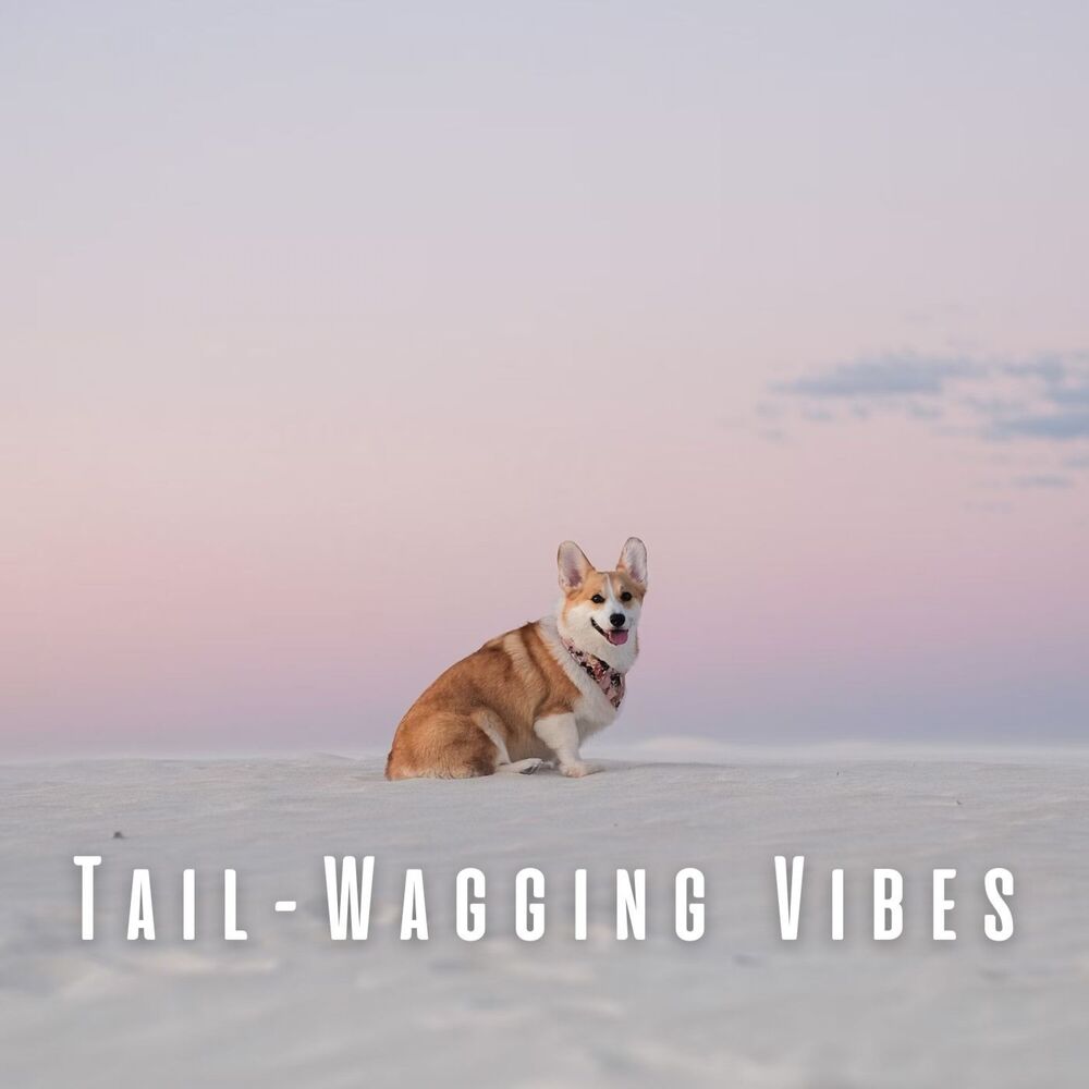 Picture of Tail-Wagging Vibes: Relaxing Rhythms for Dogs