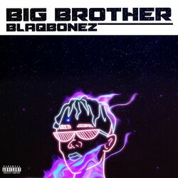 Cover of Big Brother
