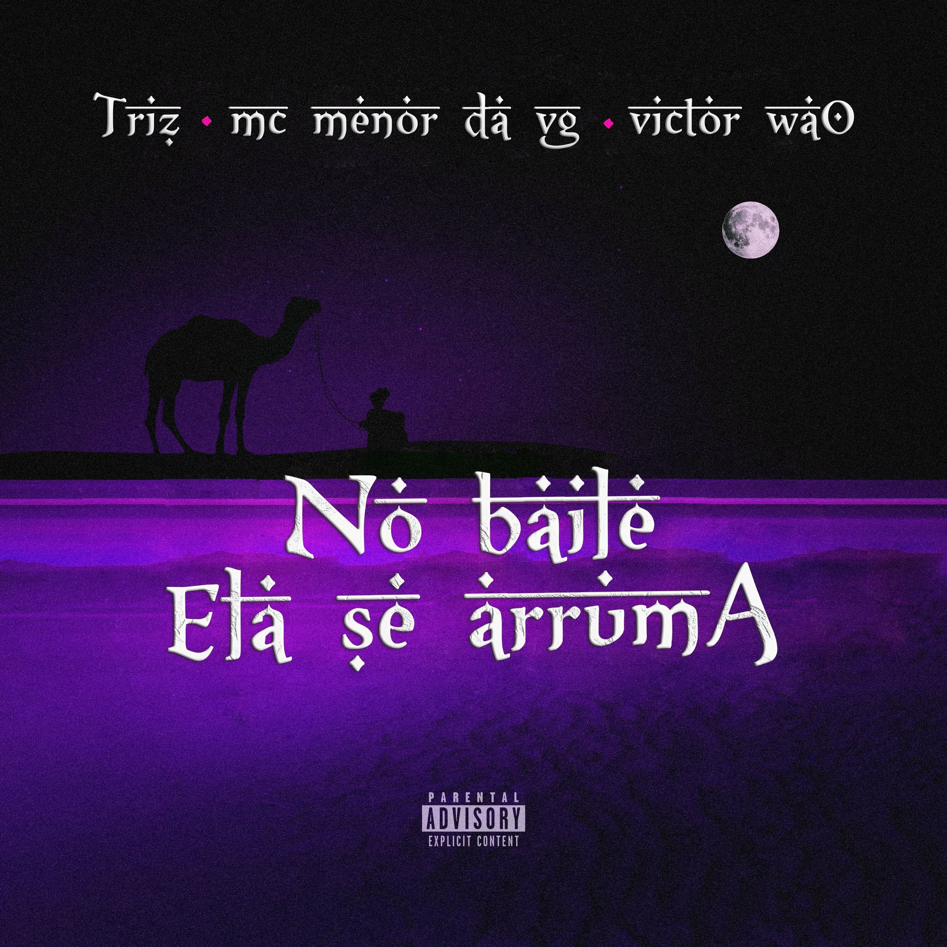 Album cover of No Baile Ela Se Arruma