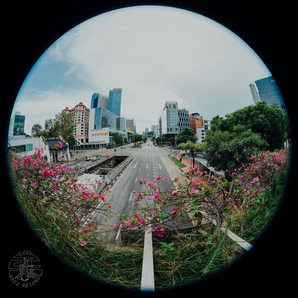Album artwork for Chalcedony by CMJ