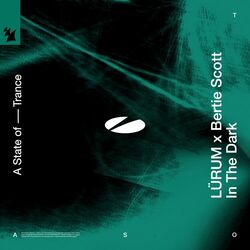 Cover of In The Dark