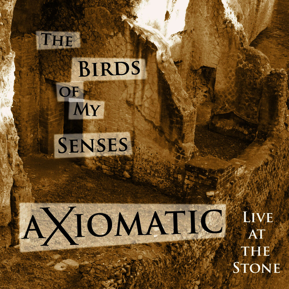 Picture of Axiomatic Live at the Stone - the Birds of My Senses
