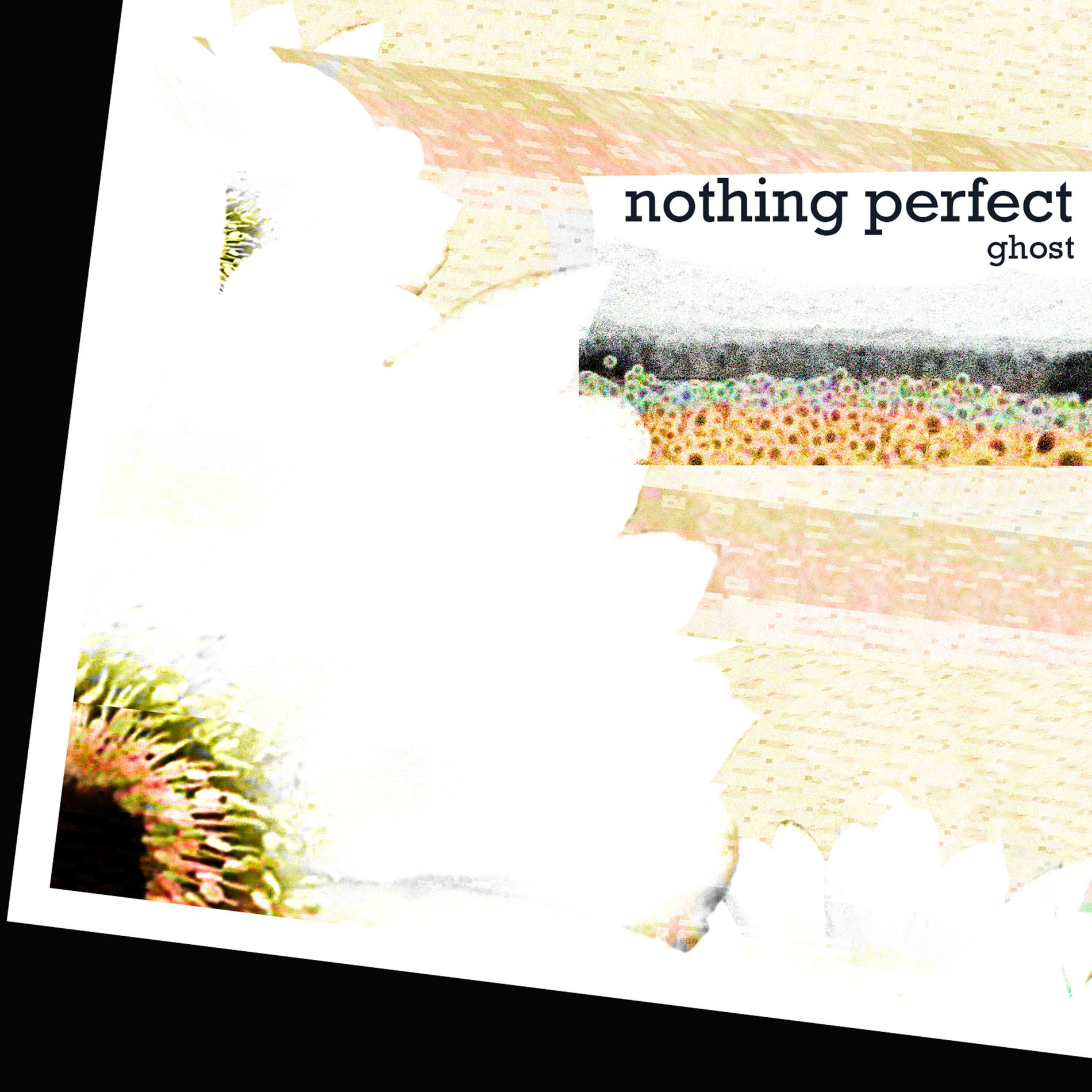 Album cover of Nothing Perfect