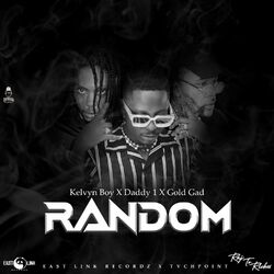 Cover of Random