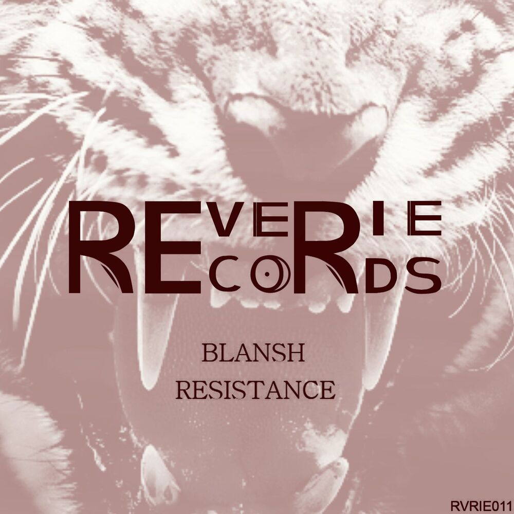 Picture of Blansh Resistance