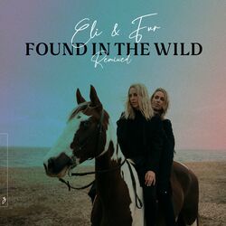 Cover of Found In The Wild (Remixed)