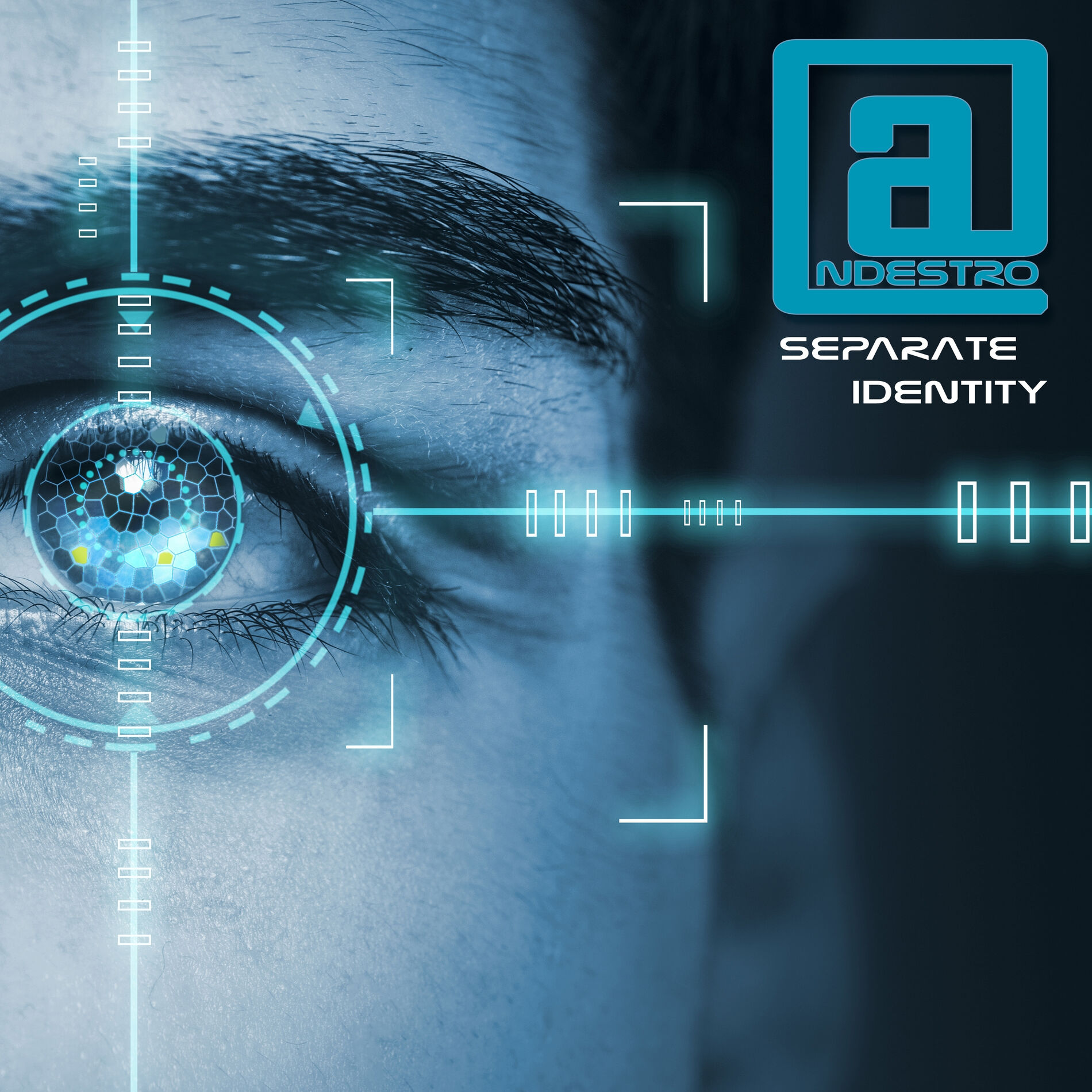 Album cover of Separate Identity