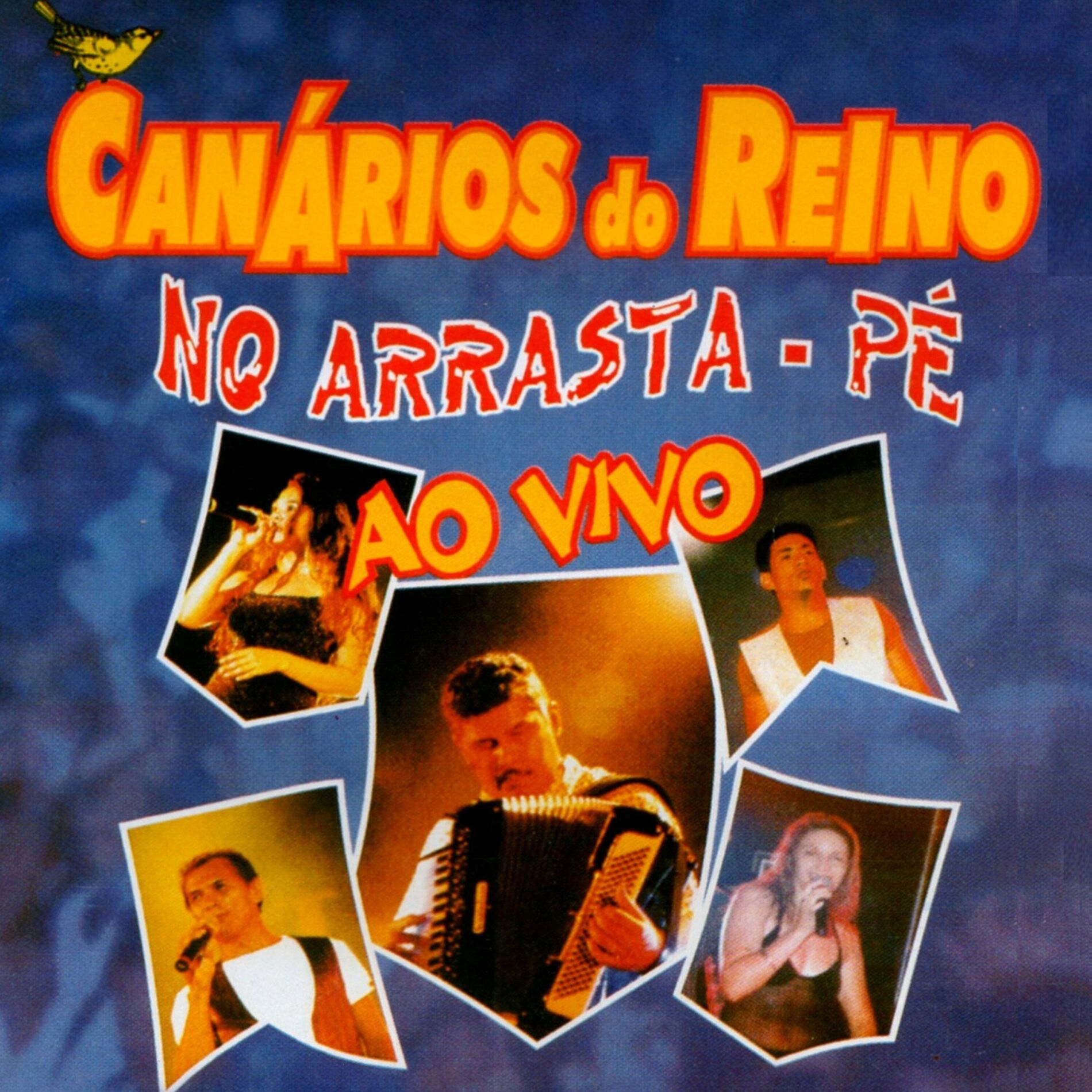 Album cover of No Arrasta-Pé ao Vivo