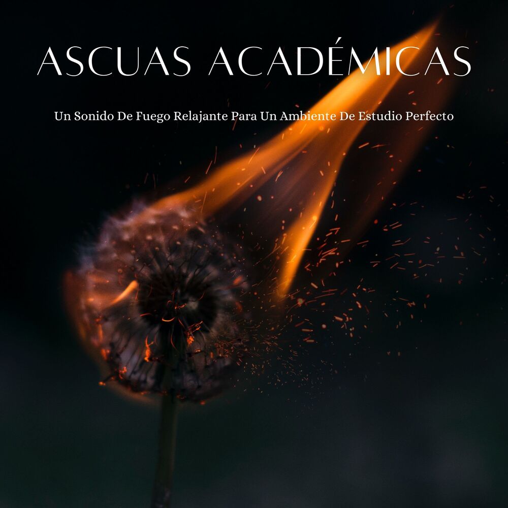 Picture of Ascuas Académicas: Un Sonido De Fuego Relajante Para Un Ambiente De Estudio Perfecto