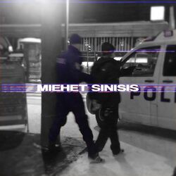 Cover of Miehet sinisis