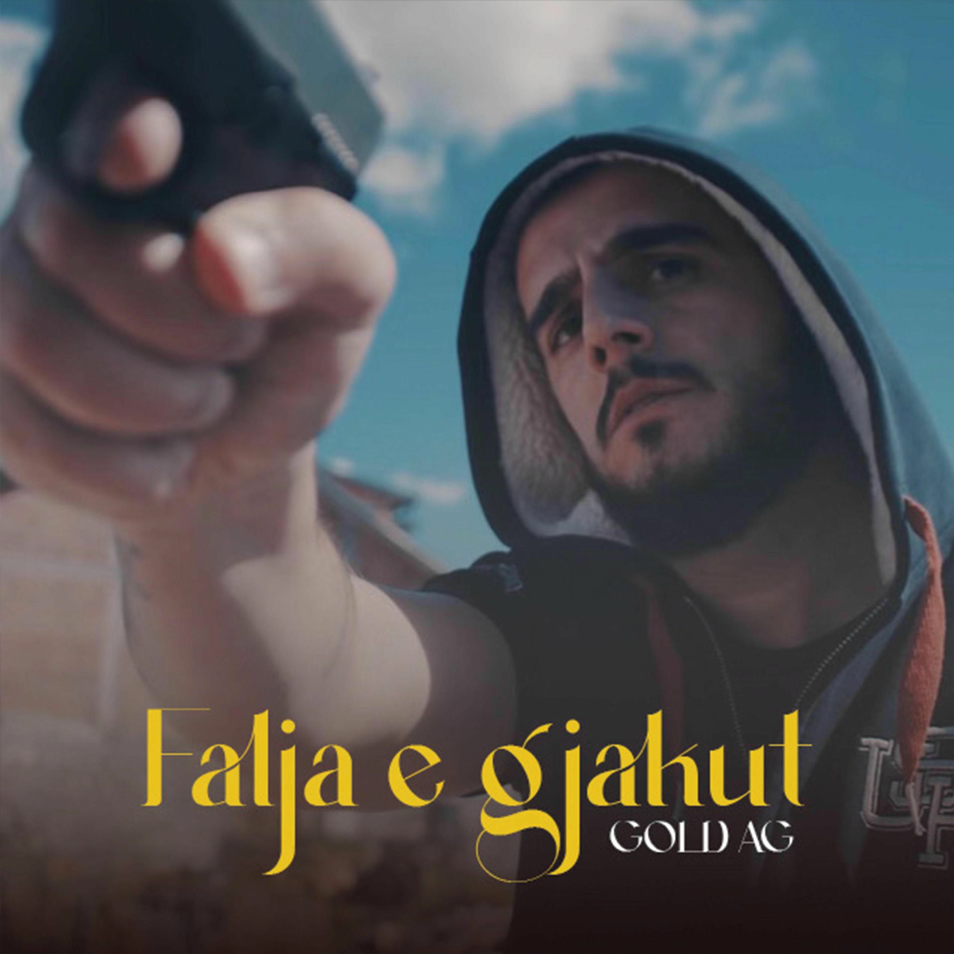 Album cover of Falja e Gjakut