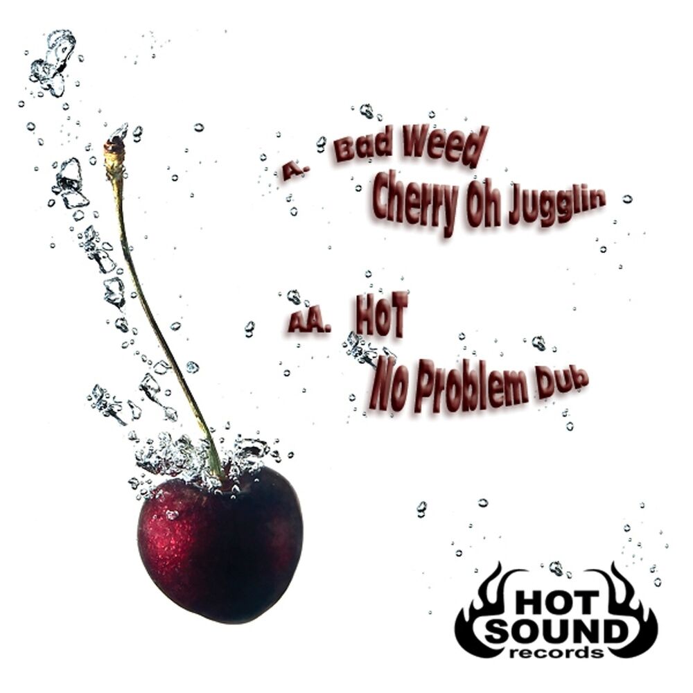 Picture of Hot Sound Records 04