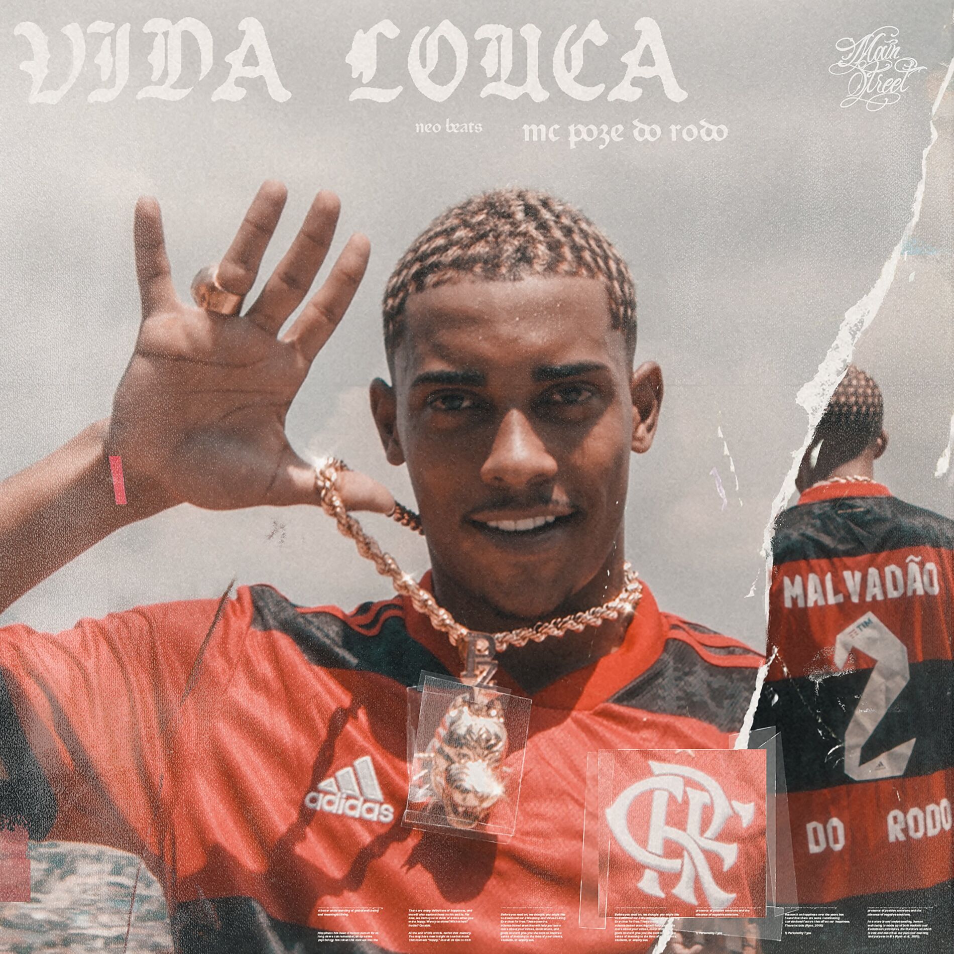 Album cover of Vida Louca