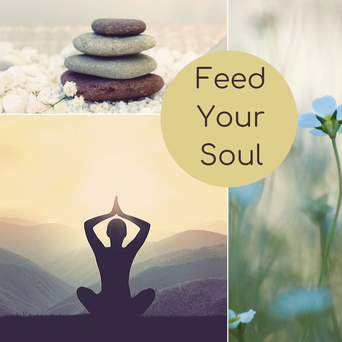 Album cover of Feed Your Soul: Meditation and Relax Music