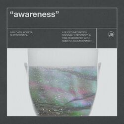 Cover of Awareness