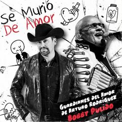 Cover of Se Murió de Amor