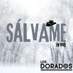 Cover of Sálvame (En Vivo)