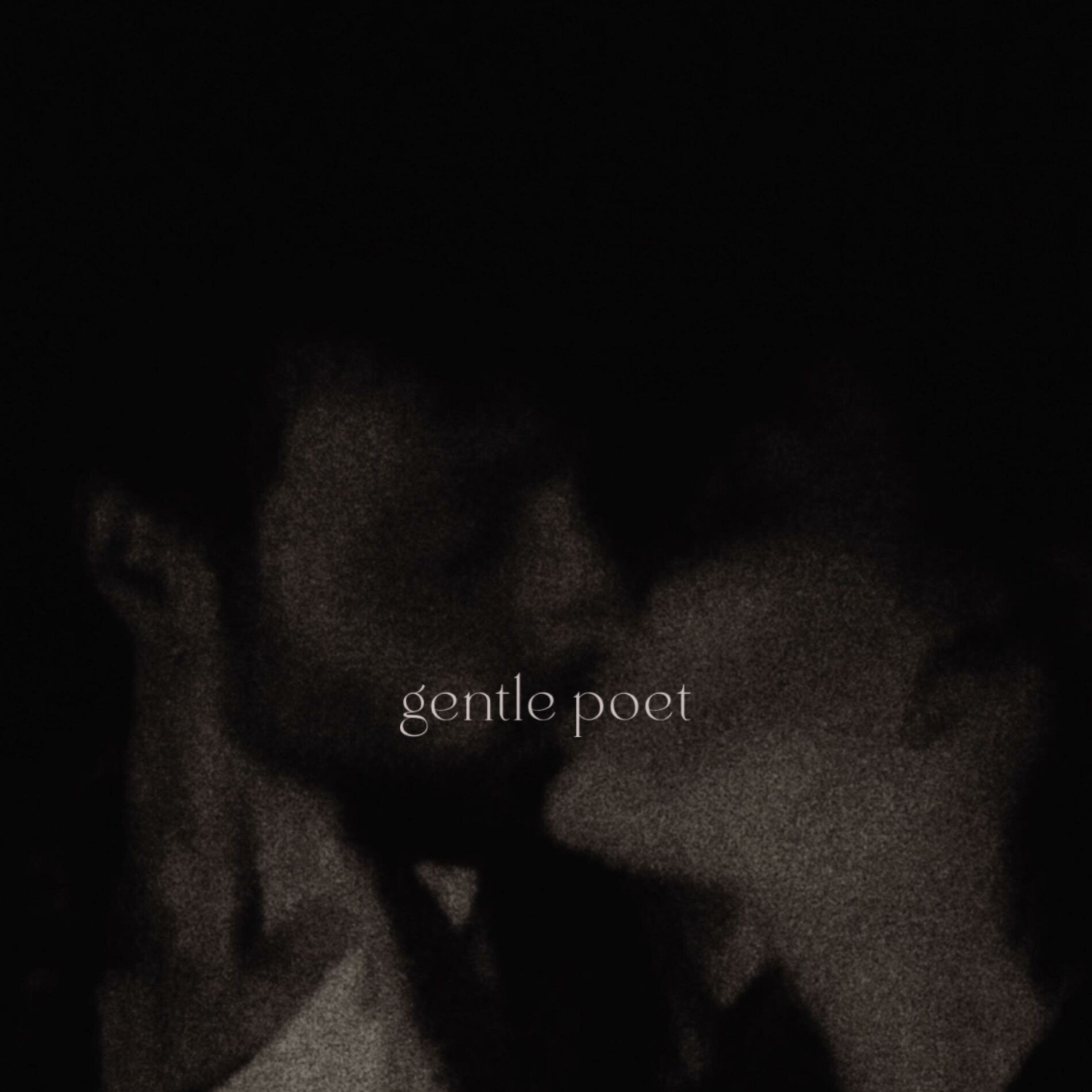 Album cover of Gentle Poet