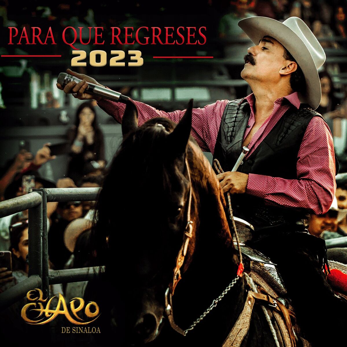 Album picture of Para Que Regreses 2023