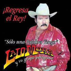 Cover of Solo una Palabra Tengo