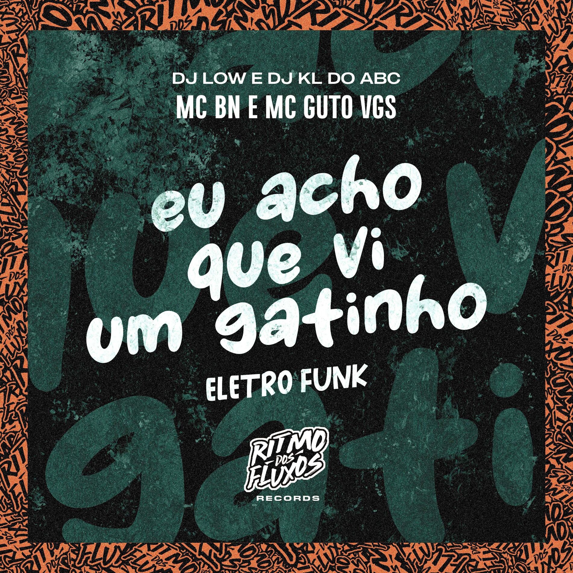 Album cover of Eu Acho Que Vi um Gatinho (Eletro Funk)