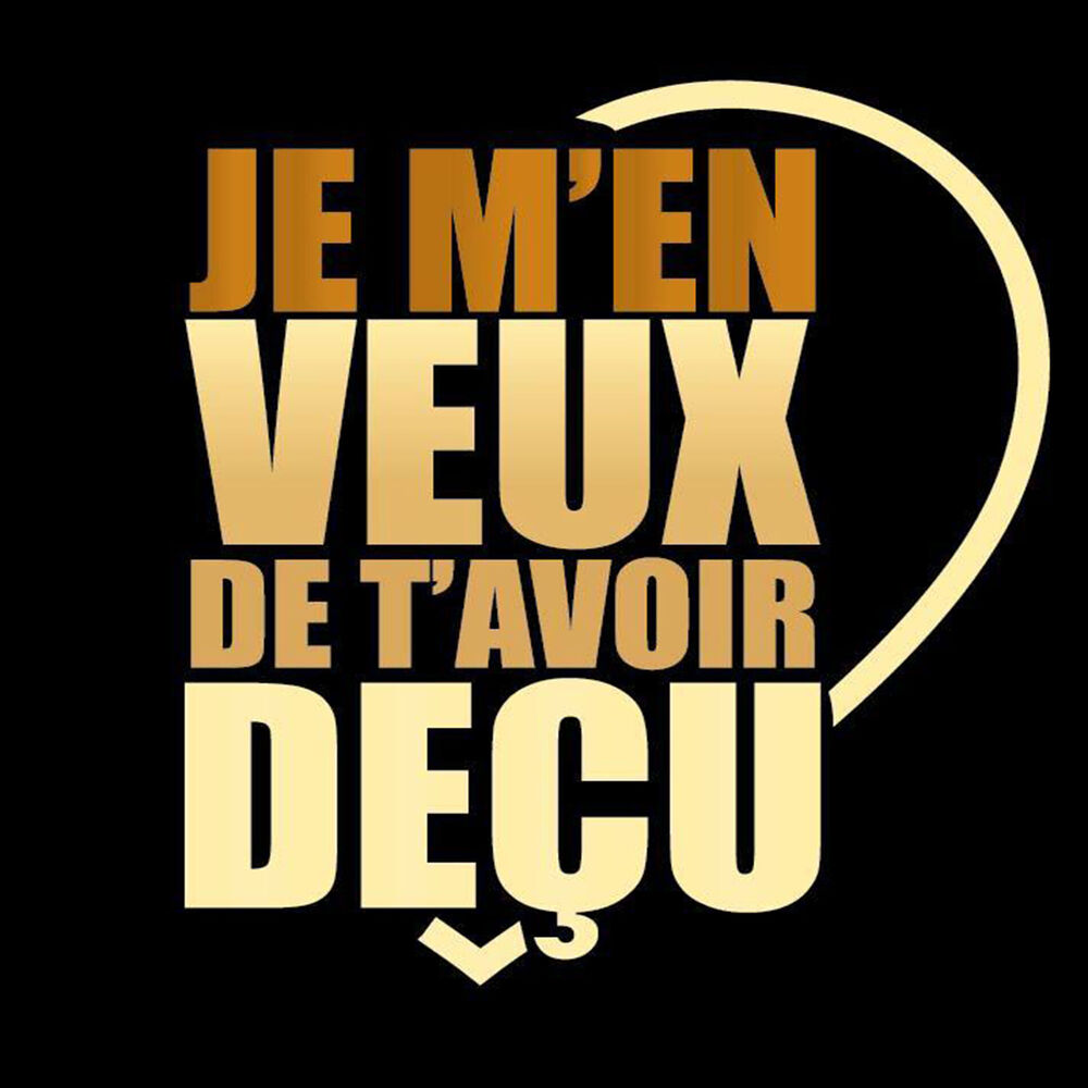 Picture of Je m'en veux de t'avoir déçu