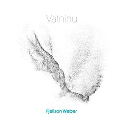 Cover of Vatninu