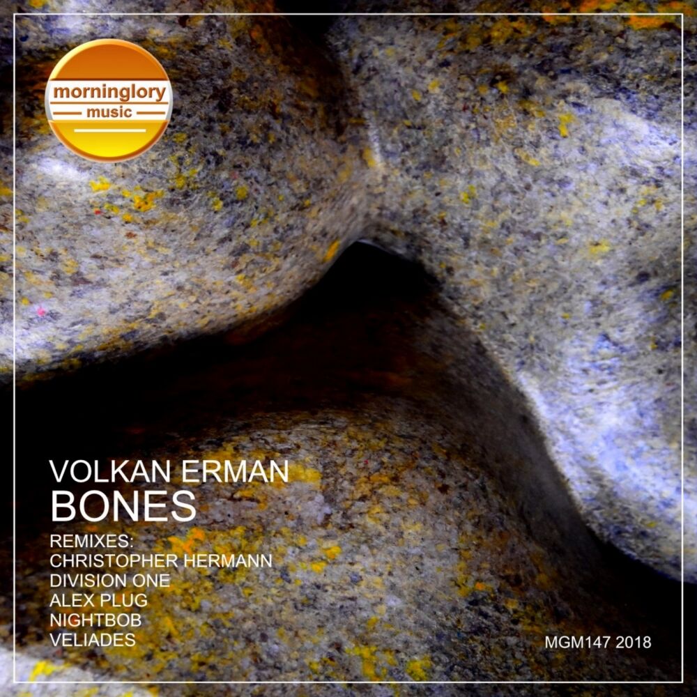 Picture of Bones