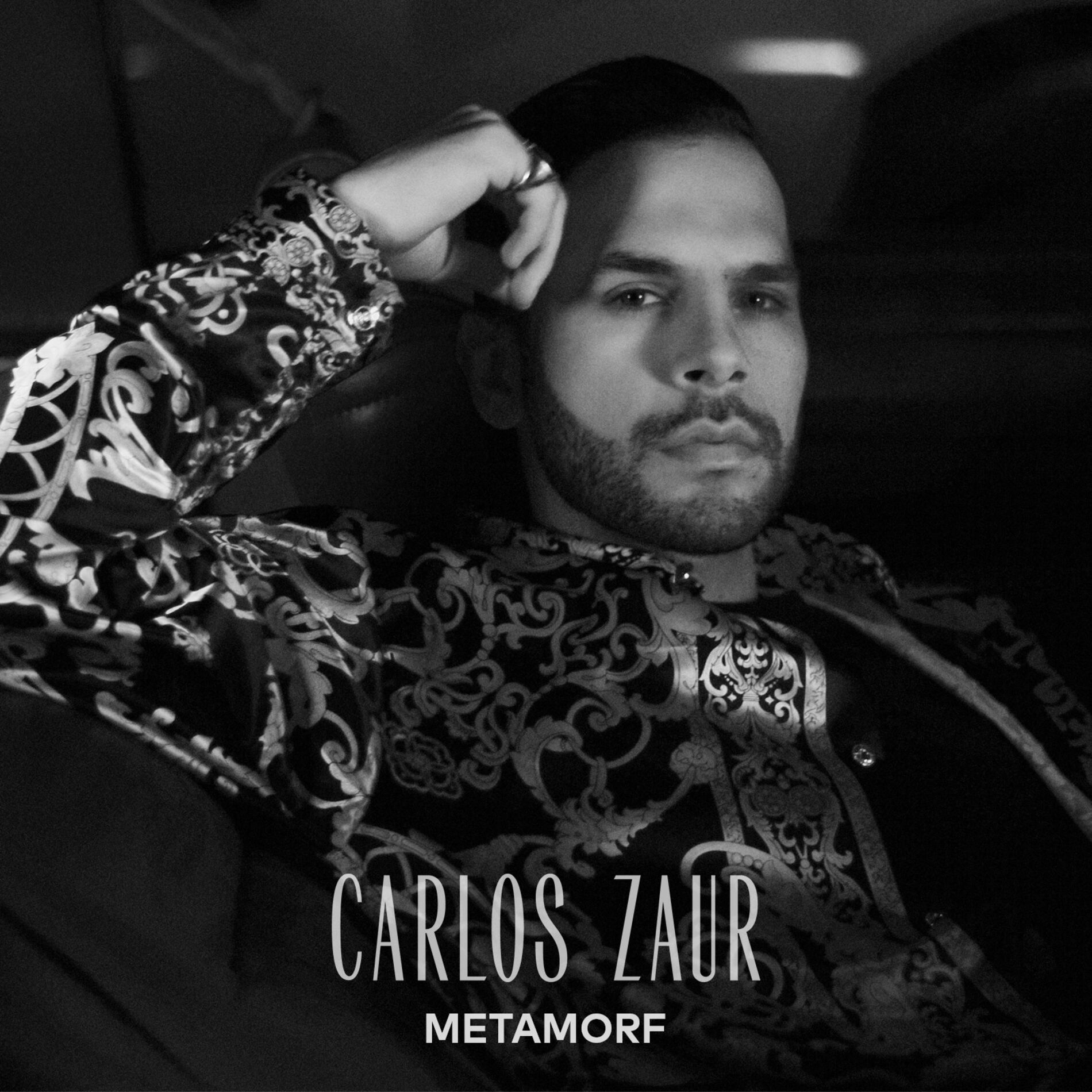 Album cover of Metamorf