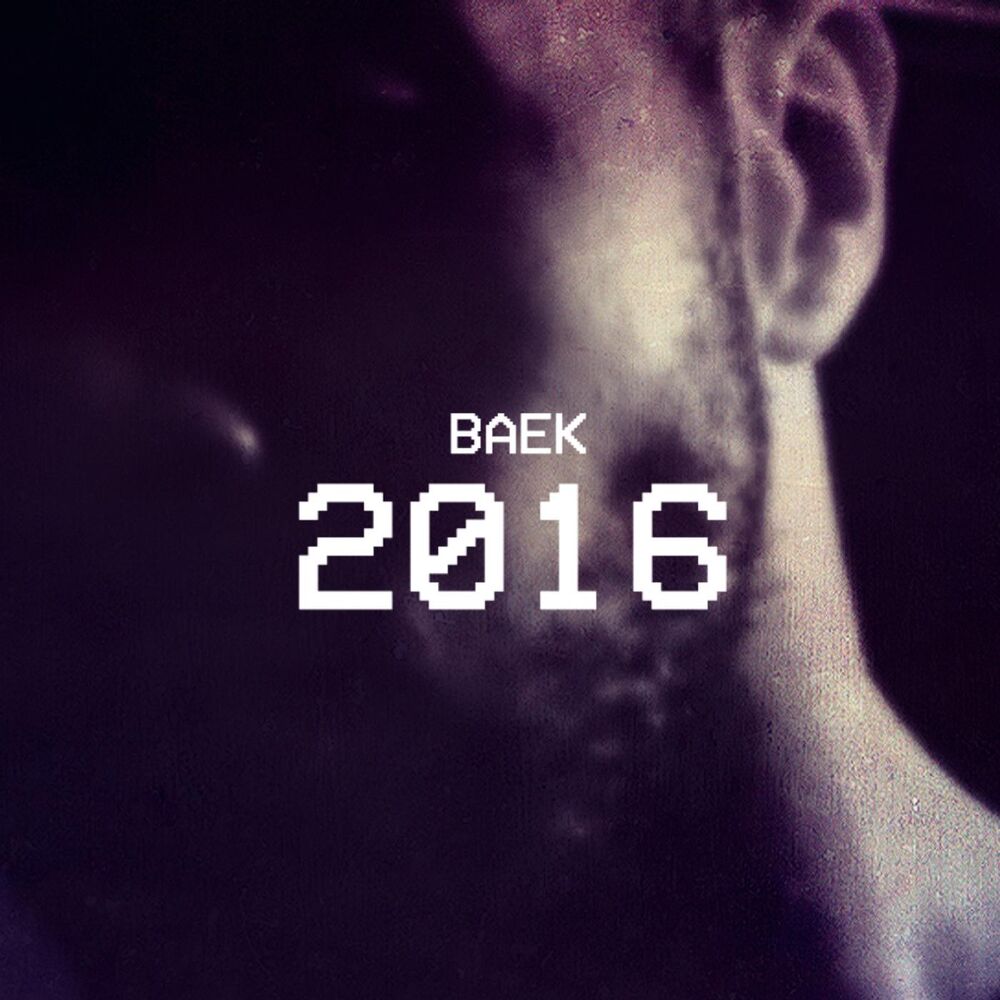 Picture of 2016