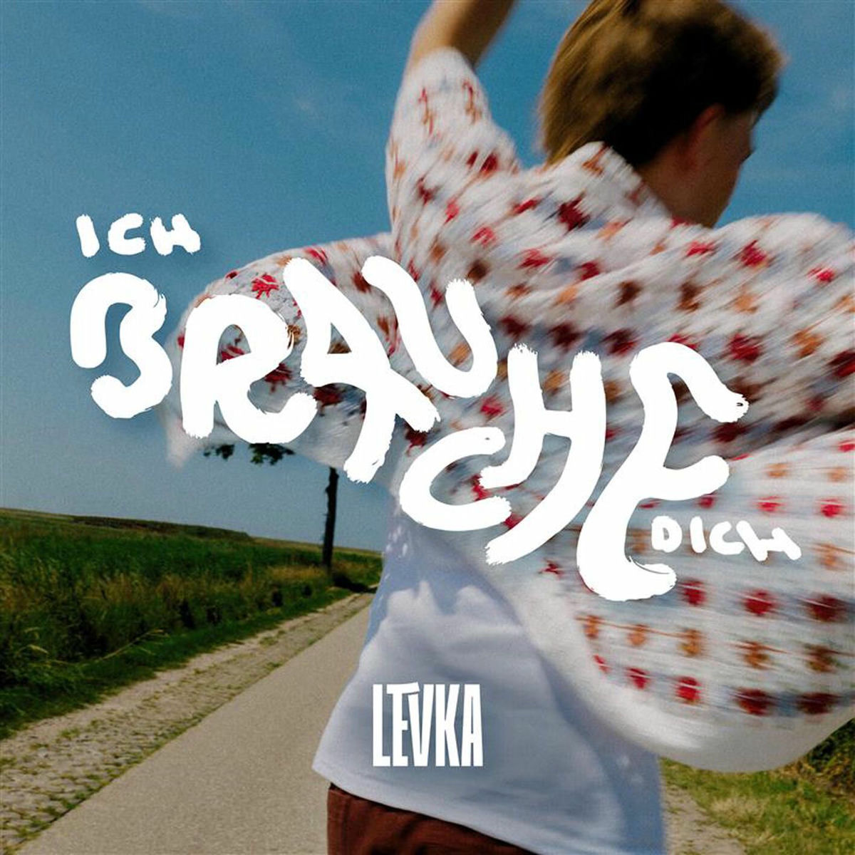 Album cover of ich brauche dich