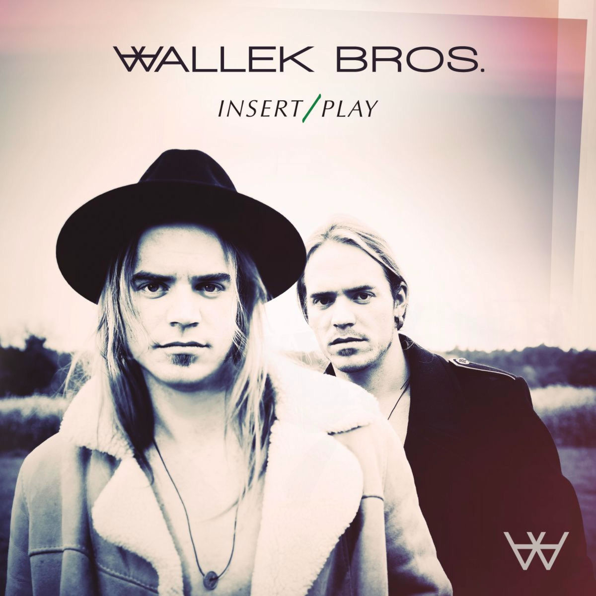 Album cover of Insert / Play