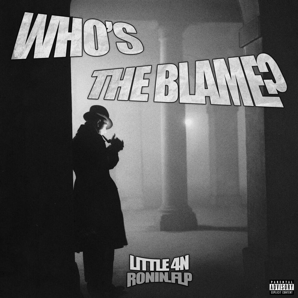 Picture of Who's the Blame?