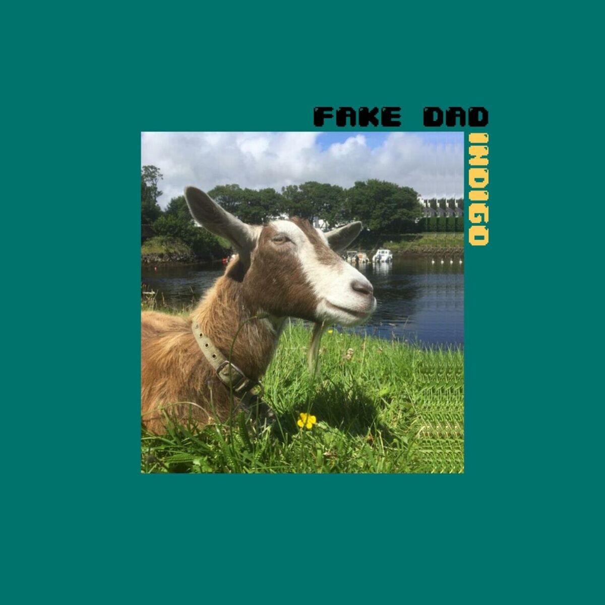 Album cover of Indigo