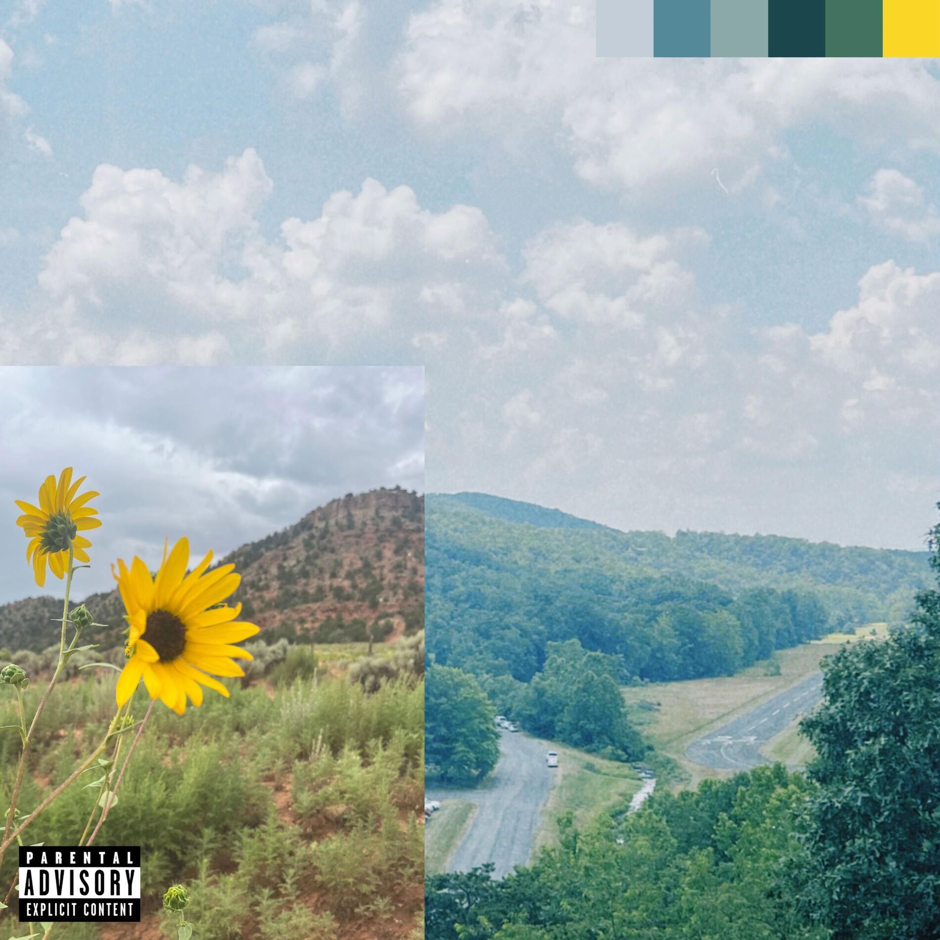 Album cover of FLOWERS FOR BUDDY