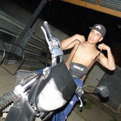 Cover of Dale Mamasita