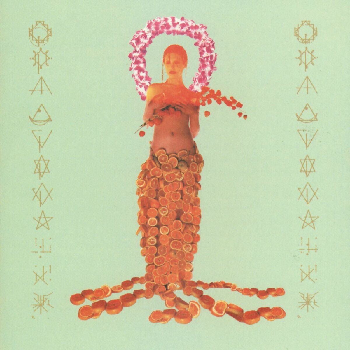 Album cover of Porpoise Head
