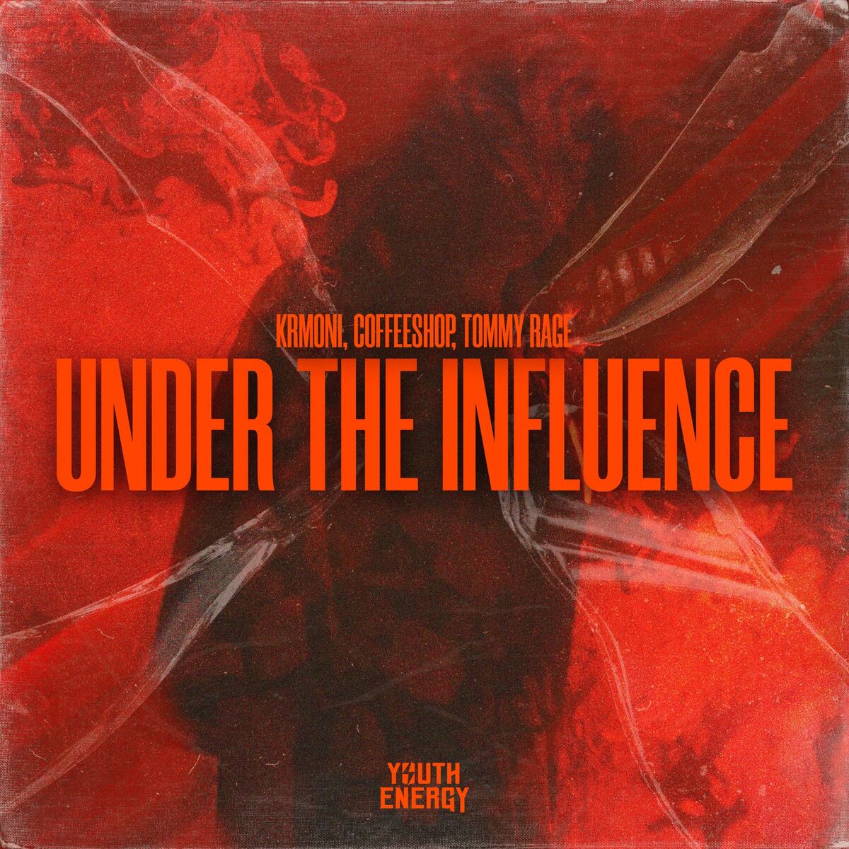 Album cover of Under the Influence