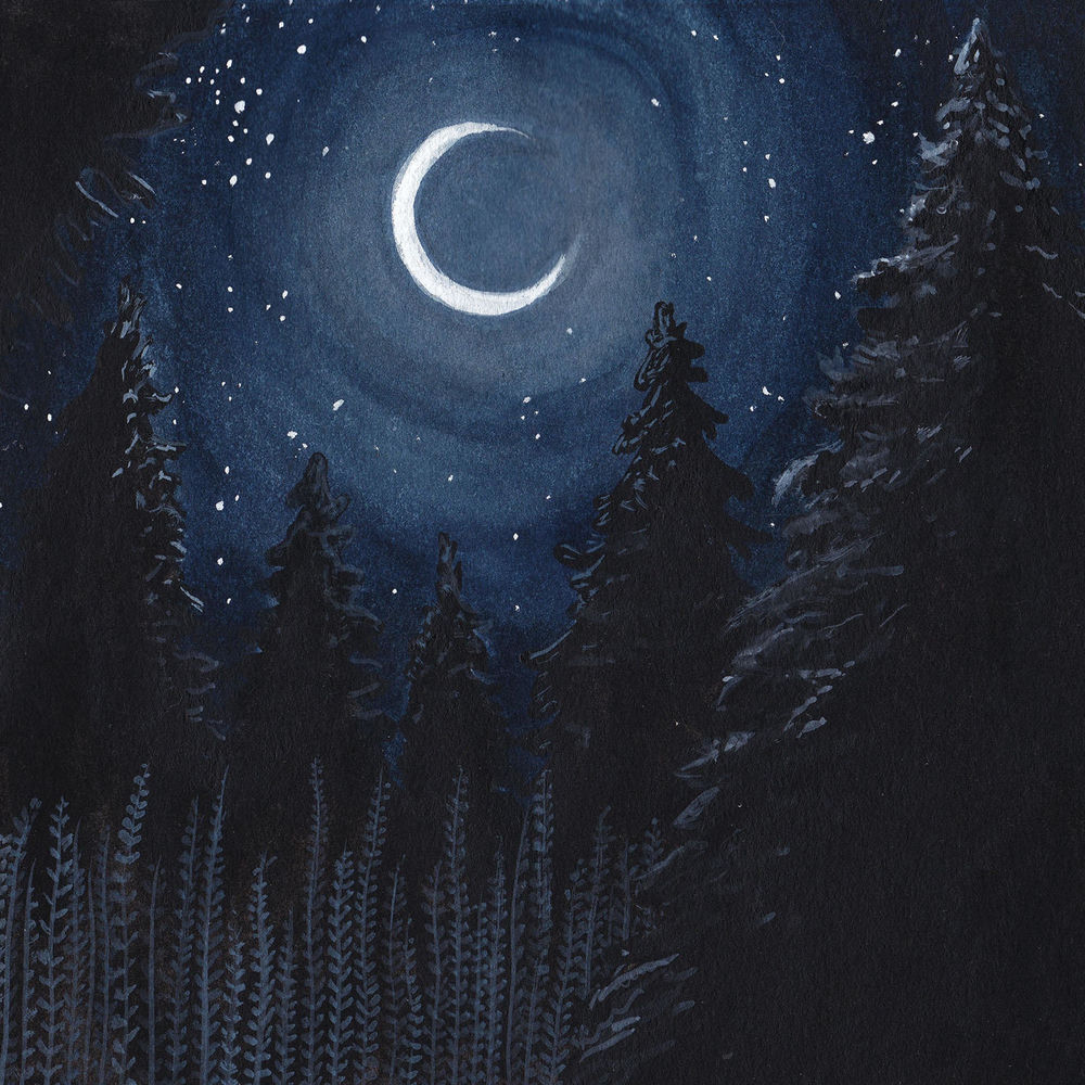 Album artwork for Silhouettes by Arion Fickel